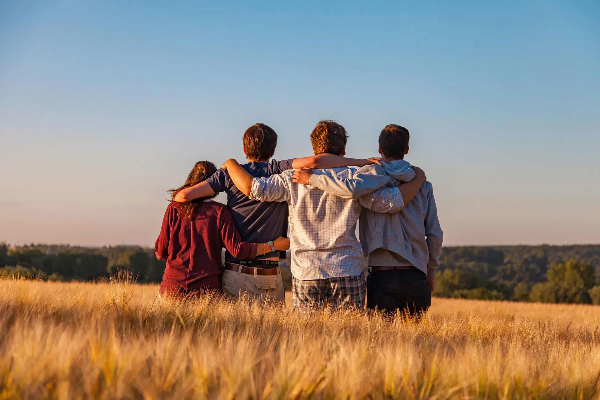 In the picture, a group of four young people hugging in a wheat field.