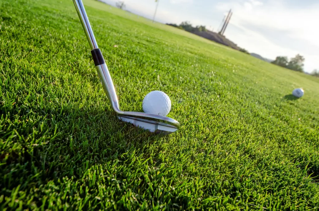 The image shows a golf club about to hit a ball lying on a lawn.