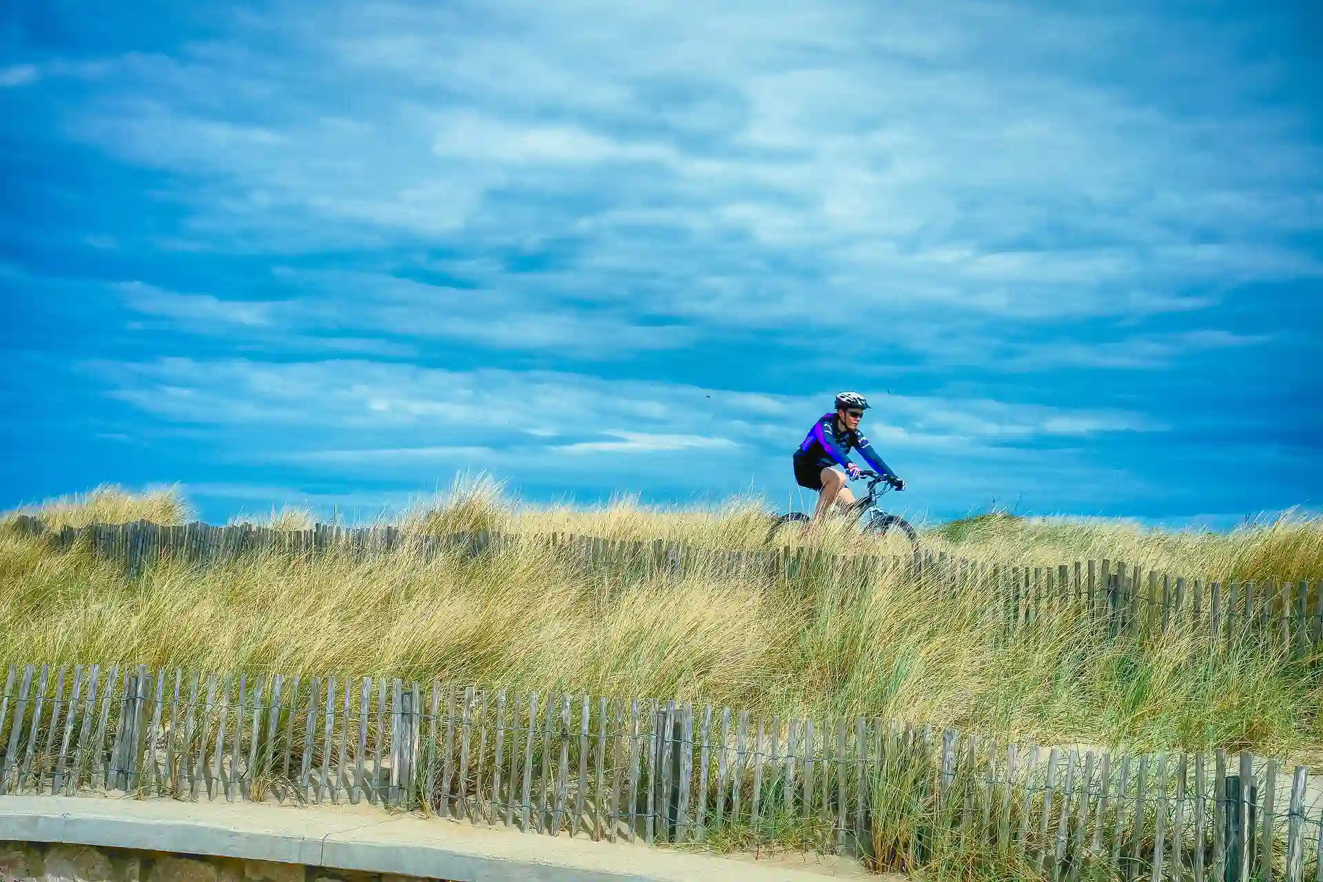 In the picture, a man pedals his bicycle through a meadow.